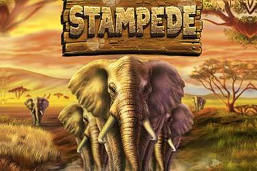 Stampede Stampede